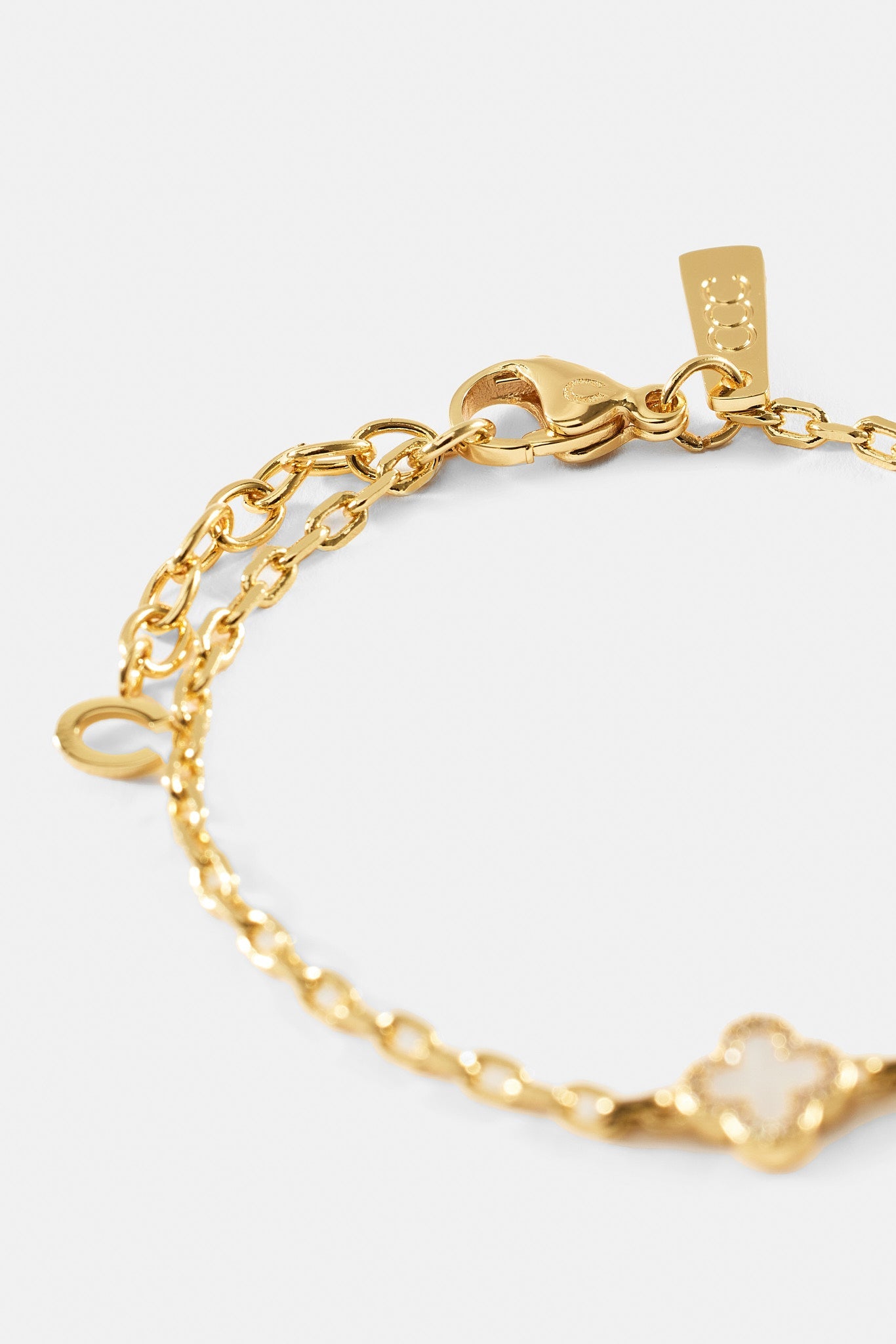 Mother Of Pearl Motif Rolo Bracelet - 8mm